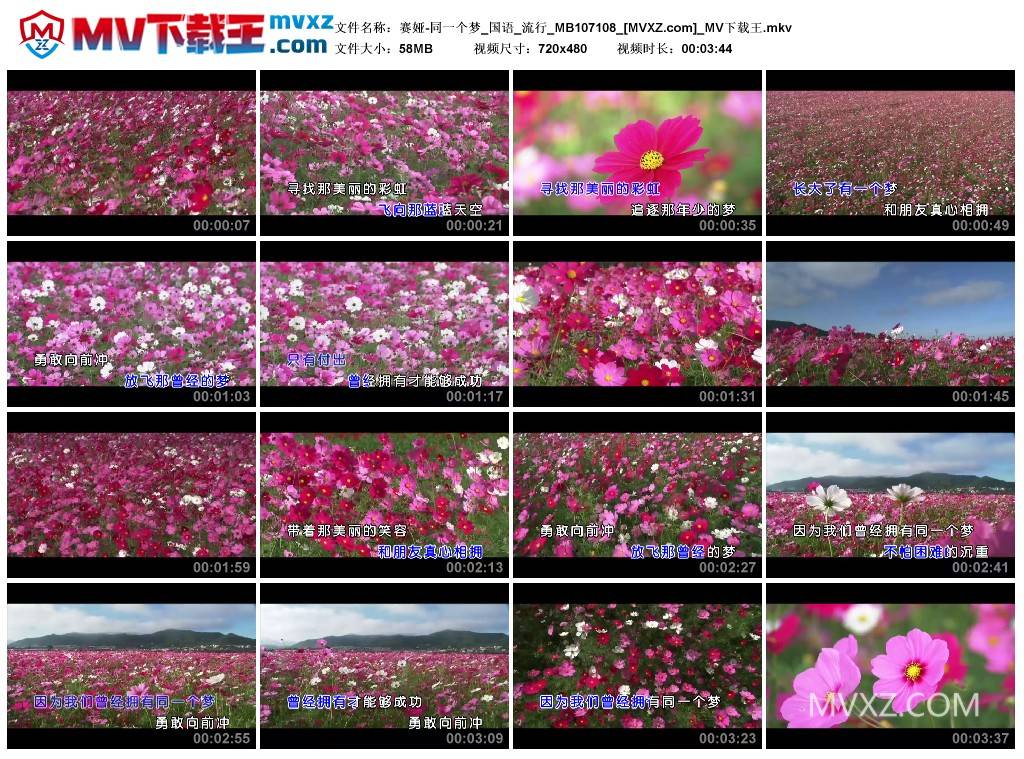 赛娅-同一个梦_国语_流行_MB107108